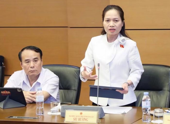  Phó Trưởng đoàn chuyên trách Đoàn ĐBQH tỉnh Gia Lai Siu Hương cho rằng việc tạo điều kiện cho người tập sự tiếp cận thực tiễn là cần thiết để nâng cao kỹ năng nghề nghiệp. Ảnh: Đoàn ĐBQH tỉnh Gia Lai 