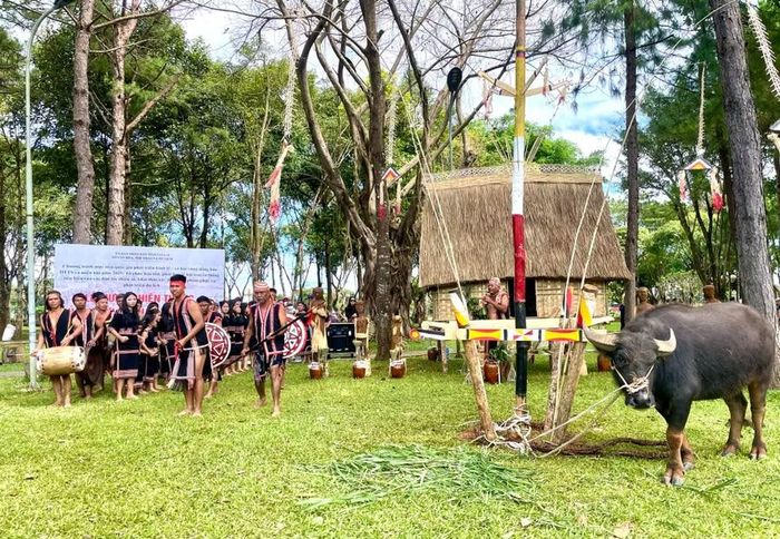  Du lịch sinh thái, văn hóa Tây Nguyên, cồng chiêng, di sản, lịch sử và du lịch nông nghiệp cũng được chú trọng phát triển. Ảnh: Minh Phương 