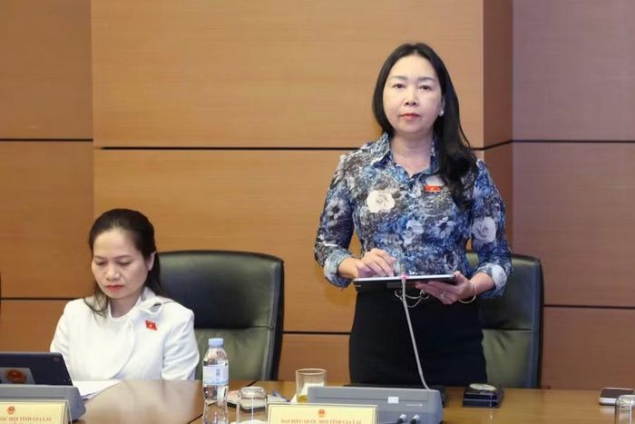  Phó Trưởng đoàn chuyên trách Đoàn ĐBQH tỉnh Gia Lai Lý Tiết Hạnh đề nghị rà soát, làm rõ quyền hạn của đấu giá viên trong xác định giá khởi điểm, dừng phiên đấu giá và xử lý các hành vi vi phạm. Ảnh: Đoàn ĐBQH tỉnh Gia Lai 