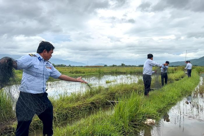 Thành viên của Đội tuần tra, bảo vệ chim yến tiến hành thu lưới tàng hình.