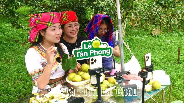 Sản phẩm lê được livestream bán ngay tại vườn tại Ngày hội hái lê phường Tân Phong.