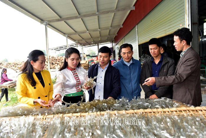 Lãnh đạo địa phương cùng các KOL, Tiktoker trao đổi, tìm hiểu quy trình sơ chế, phơi miến dong tại Hợp tác xã Vững Tâm.