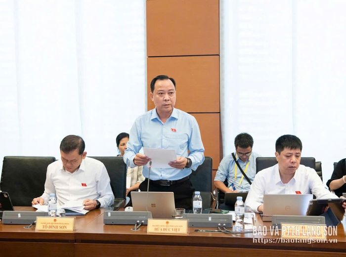 Đại biểu Hứa Đức Việt, Đoàn đại biểu Quốc hội tỉnh Lạng Sơn phát biểu thảo luận tại tổ