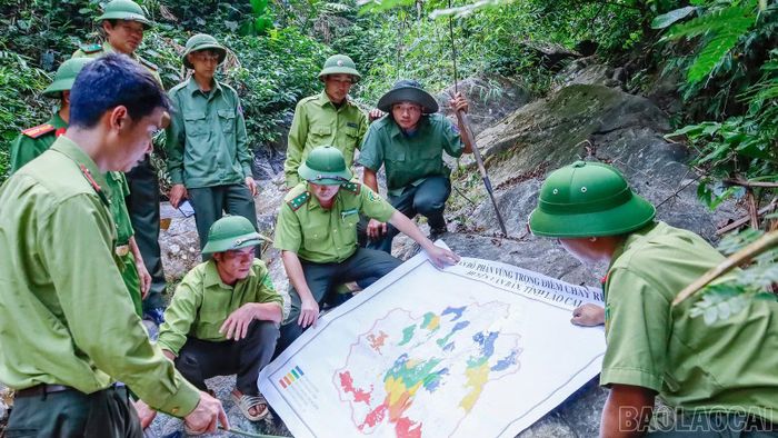 Lực lượng kiểm lâm, công an, các chủ rừng và trưởng thôn, bản tăng cường tuần tra, kiểm soát những khu vực có nguy cơ cháy cao.