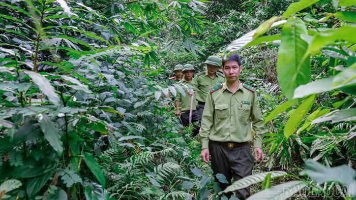 Nguy cơ vẫn hiện hữu khi thời tiết khô hanh, diện tích rừng rộng, địa hình phức tạp.