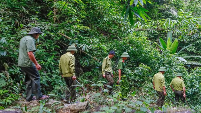 Những hoạt động có nguy cơ phát sinh lửa như đốt thực bì, đốt nương hoặc sử dụng lửa khi cắm trại, khám phá rừng đều được kiểm soát chặt chẽ.