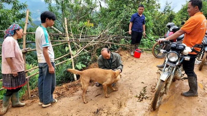 Các thôn ở xã Mù Cang Chải đều thành lập tổ lưu động tiêm phòng dại chó, mèo.