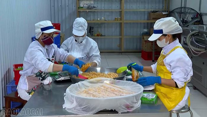 Chế biến các sản phẩm măng tại Công ty cổ phần Yên Thành.