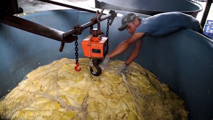 Công ty TNHH Yamazaki Việt Nam ký hợp đồng thu mua măng với 4 hợp tác xã và 18 điểm thu gom tại các xã Hưng Khánh, Lương Thịnh, Thượng Bằng La…