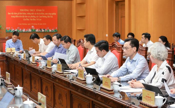 Các đại biểu dự buổi làm việc.