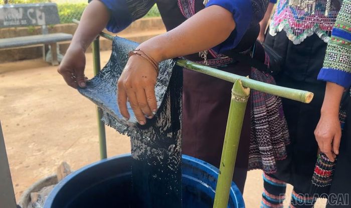 Hình ảnh đôi tay nhuốm màu chàm đã quen thuộc với phụ nữ Mông Lao Chải.