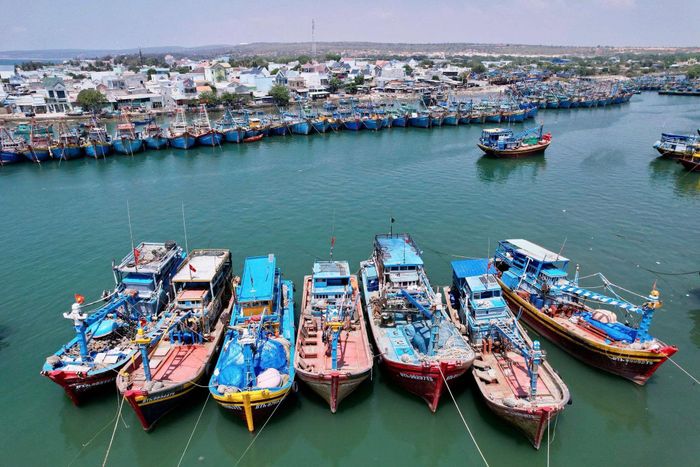 Phan Rí Cửa là một trong những địa phương trọng điểm nghề cá của tỉnh