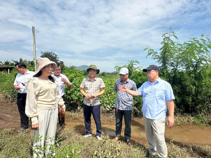 Phó Chủ tịch UBND tỉnh Nguyễn Ngọc Phúc (ngoài cùng bên phải) cùng đoàn công tác kiểm tra thực tế vùng hạ du hồ sông Quao