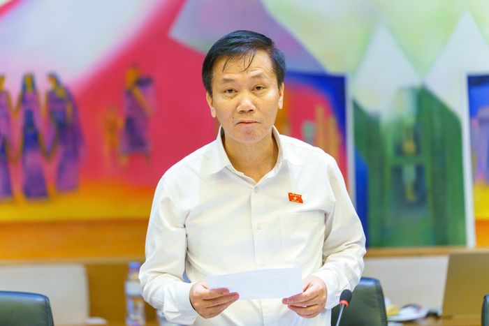 Đại biểu Lâm Văn Đoan, Đoàn ĐBQH tỉnh Lâm Đồng phát biểu tại phiên thảo luận Tổ
