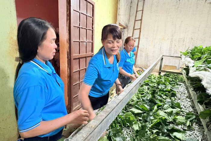 Chị Trần Thị Kiều, Chi hội trưởng Chi hội Phụ nữ thôn Ba Đình (ở giữa) chia sẻ kinh nghiệm trồng dâu, nuôi tằm với phụ nữ địa phương