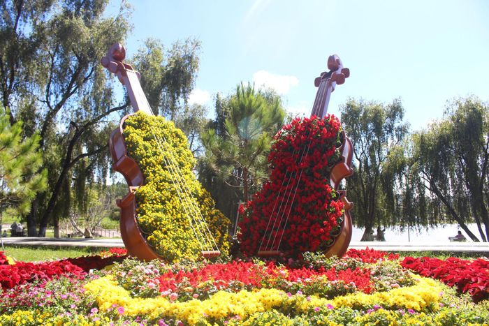 Tiểu cảnh hoa bên hồ Xuân Hương tại Festival Hoa Đà Lạt lần thứ X năm 2024