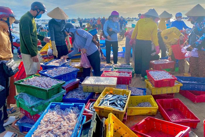 Phú Quý được đánh giá là một trong những ngư trường có trữ lượng hải sản lớn