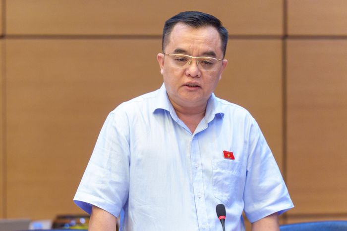 Đai biểu Huỳnh Ngọc Liêm, Đoàn ĐBQH tỉnh Lâm Đồng phát biểu