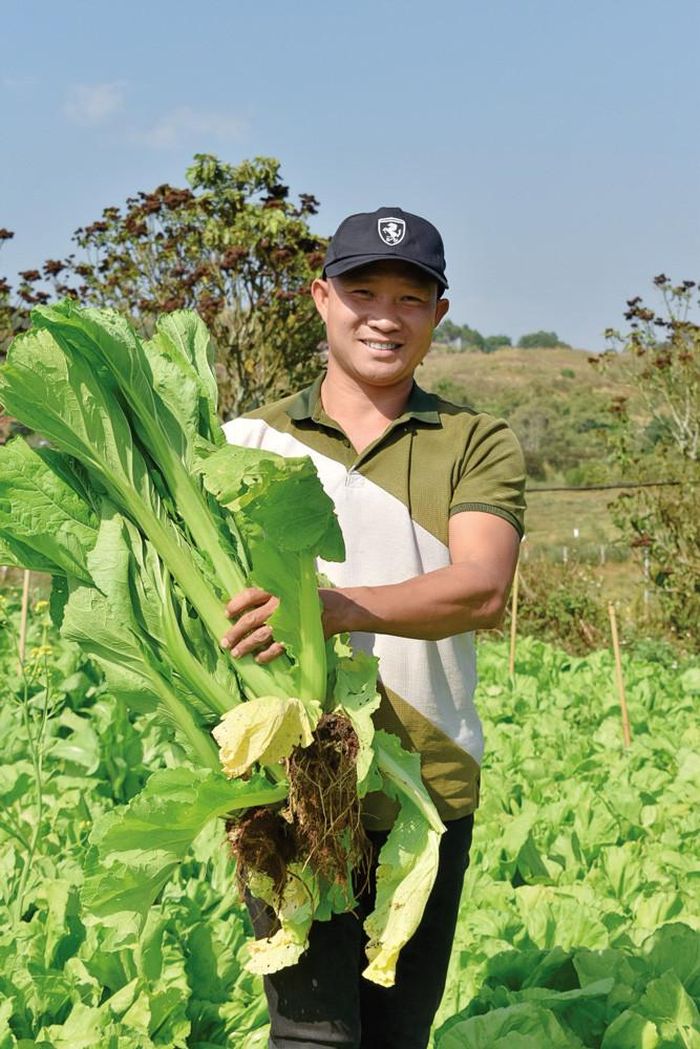 Bùi Ngọc Châu - nông dân sản xuất giỏi tại Tân Hà Lâm Hà