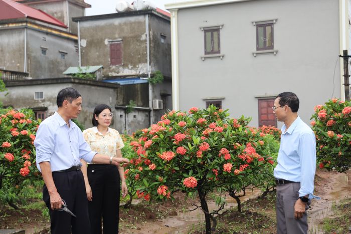 Đại diện Ban Xây dựng Đảng xã Hải Hậu cùng Bí thư Chi bộ thôn Triệu Thông tham quan mô hình đảng viên làm kinh tế giỏi.