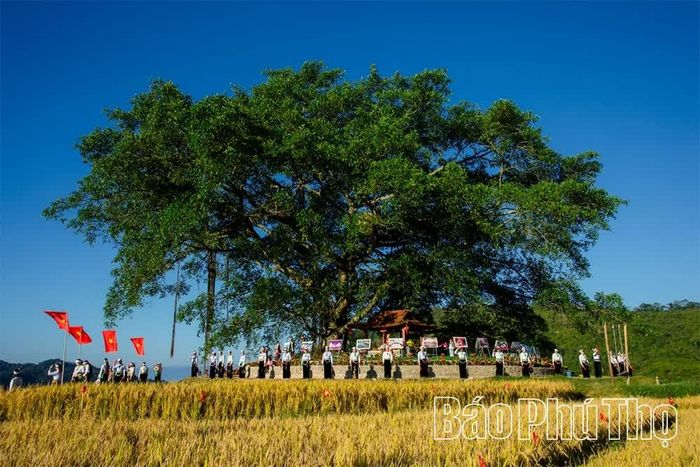 Khung cảnh Bản Mừng thơ mộng, bình yên giữa núi rừng Cao Phong.