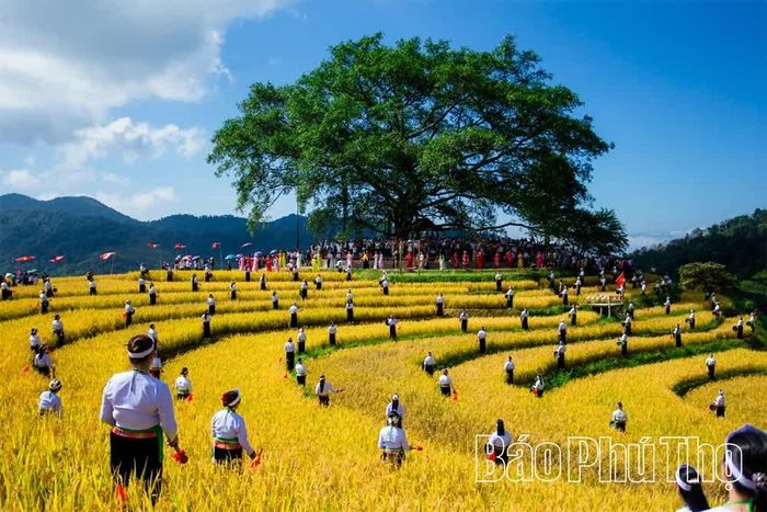 Màn tấu chiêng rộn ràng giữa không gian thơ mộng của những thửa ruộng bậc thang Bản Mừng.