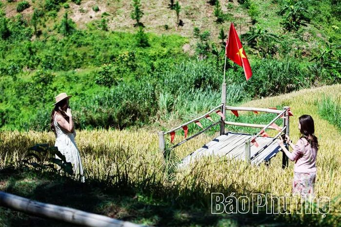 Du khách thích thú check-in, lưu giữ khoảnh khắc đẹp bên những thửa ruộng bậc thang mùa lúa chín.