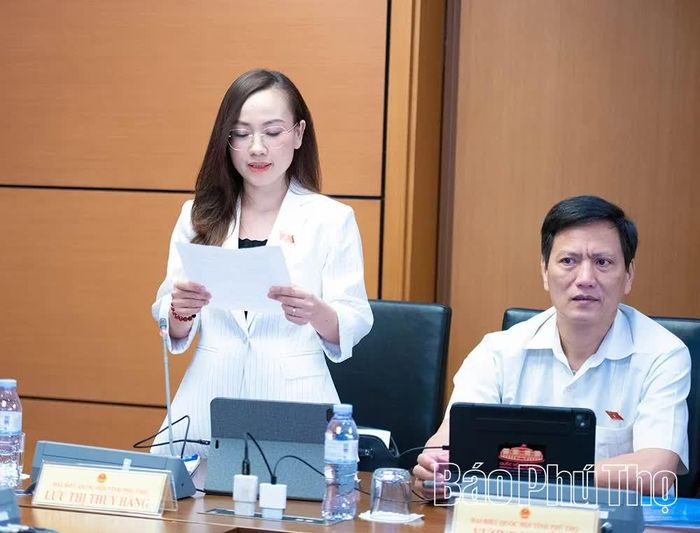 Đại biểu Quốc hội tỉnh Lưu Thị Thúy Hằng tham gia thảo luận ở Tổ.