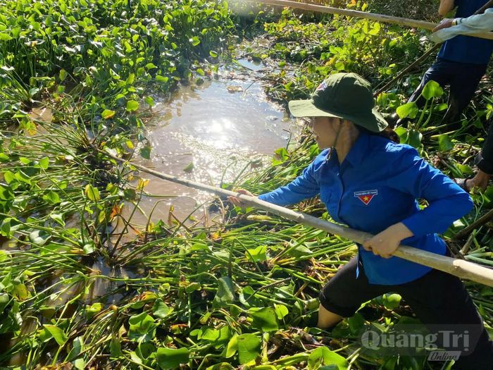 Đoàn viên, thanh niên hăng hái tham gia vớt bèo khơi thông sông Vĩnh Định - Ảnh: Đ.V