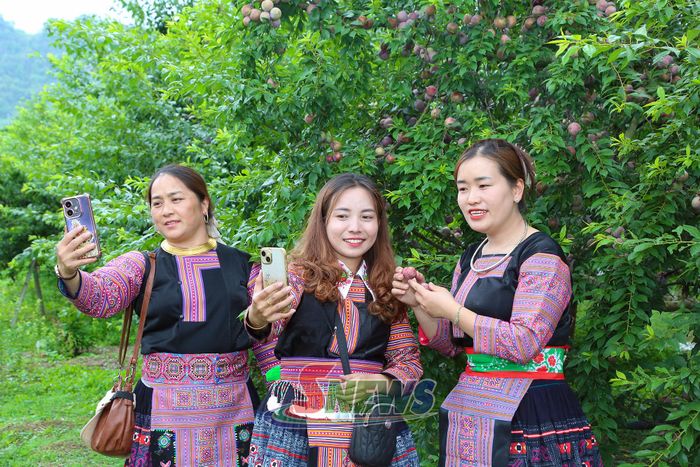 Phụ nữ đồng bào dân tộc Mông bản Chiềng Tương, xã Lóng Phiêng tự tin giới thiệu nông sản địa phương trên nền tảng số.