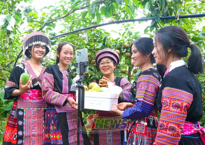 Hội viên phụ nữ bản Lao Khô 1, xã Phiêng Khoài giới thiệu nông sản trên nền tảng số.