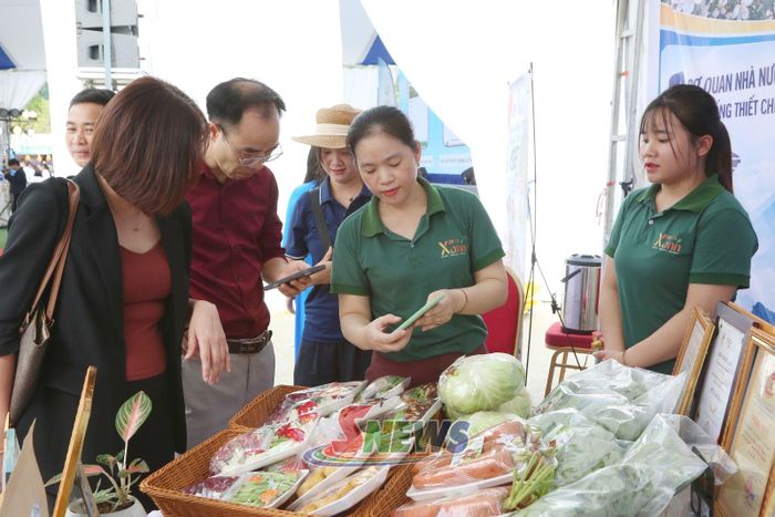 HTX Nông nghiệp Xanh 26-3 ứng dụng chuyển đổi số trong quản lý, điều hành hoạt động sản xuất, kinh doanh.