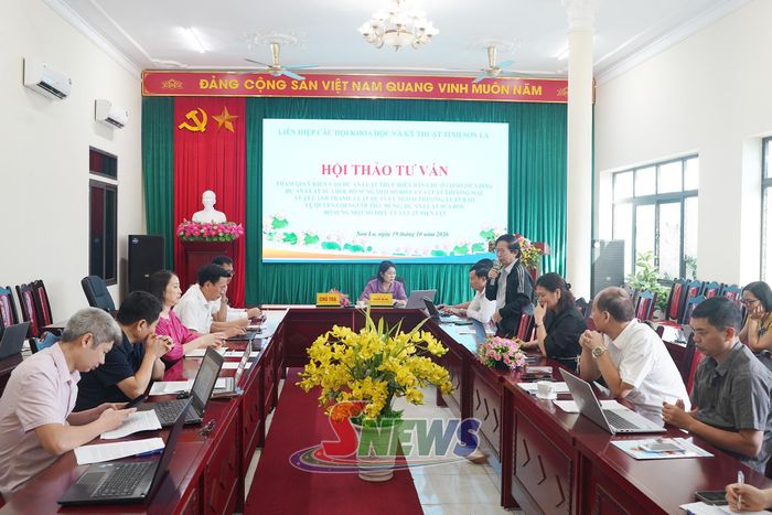 Chuyên gia đóng góp ý kiến vào dự án Luật sửa đổi.