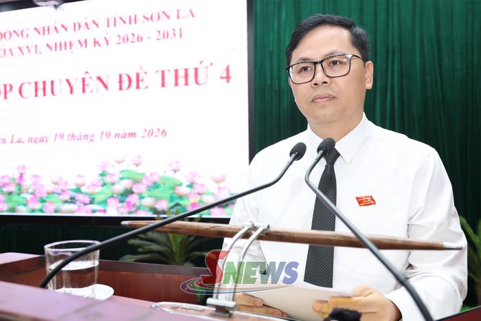 Đồng chí Phó Chủ tịch HĐND tỉnh trình bày các dự thảo nghị quyết tại Kỳ họp.