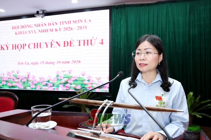Đồng chí Giám đốc Sở Khoa học và Công nghệ trình bày dự thảo nghị quyết tại Kỳ họp.
