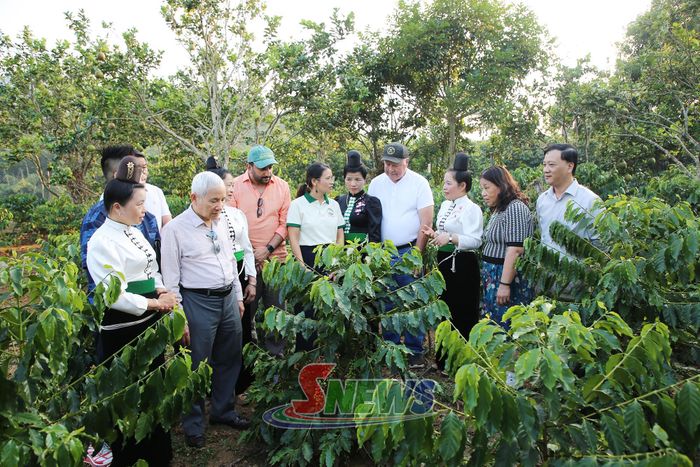 Đoàn chuyên gia đánh giá vùng trồng cây cà phê của HTX Ara-Tay Coffee.