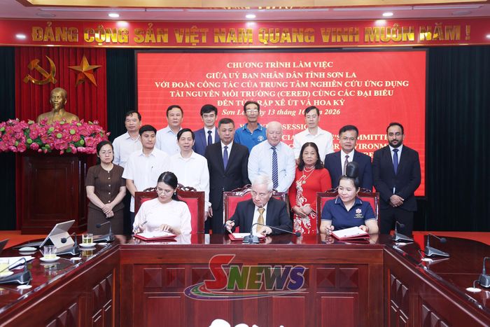 Công ty TNHH CERED, WECACHA và HTX Ara-Tay Coffee ký kết hợp tác phát triển chuỗi giá trị cà phê đặc sản.