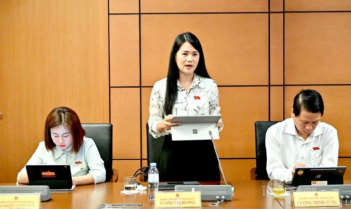 ĐBQH Vương Thị Hương phát biểu.