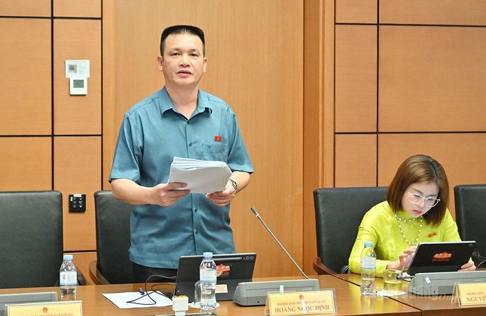 ĐBQH Hoàng Ngọc Định thảo luận.