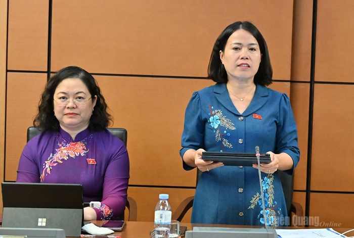 Phó Trưởng đoàn đại biểu Quốc hội chuyên trách tỉnh Lý Thị Lan tham gia thảo luận.