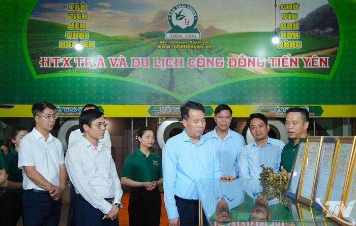 Đồng chí Chủ tịch UBND tỉnh Nguyễn Thế Mạnh thăm Hợp tác xã trà và du lịch cộng đồng Tiến Yên, xã Tân Cương.