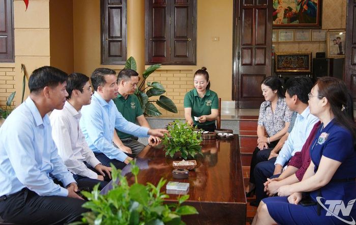 Đồng chí Chủ tịch UBND tỉnh và Đoàn công tác thăm Hợp tác xã trà và du lịch cộng đồng Tiến Yên, xã Tân Cương.