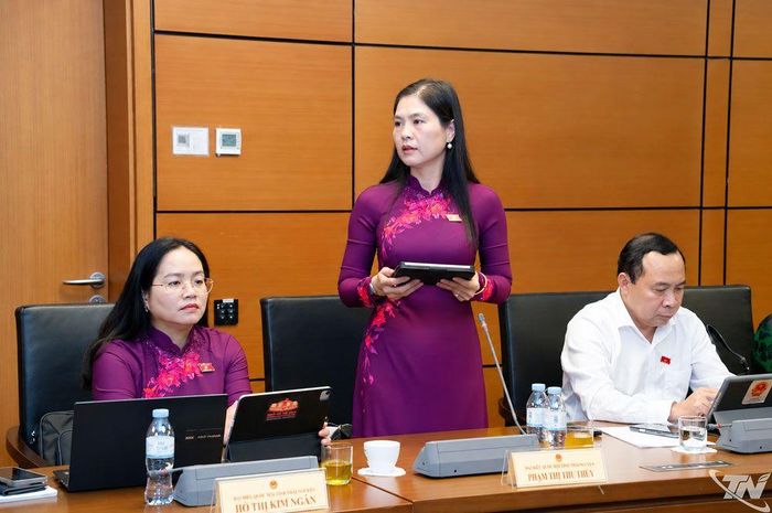 Đại biểu Phạm Thị Thu Thủy, Đoàn ĐBQH tỉnh Thái Nguyên, phát biểu.