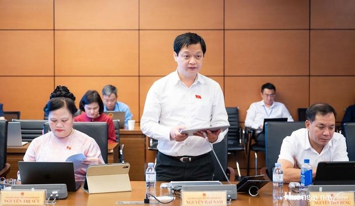 Đại biểu Nguyễn Hải Nam nêu ý kiến liên quan đến việc bảo vệ quyền lợi người tham gia đấu giá được quy định trong dự thảo Luật Đấu giá tài sản (sửa đổi). Ảnh: Đoàn ĐBQH thành phố cung cấp