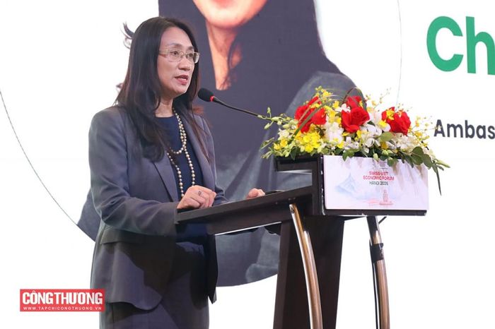 Đại sứ Việt Nam tại Thụy Sỹ Châu Mai Anh đề xuất ba trụ cột hợp tác lâu dài