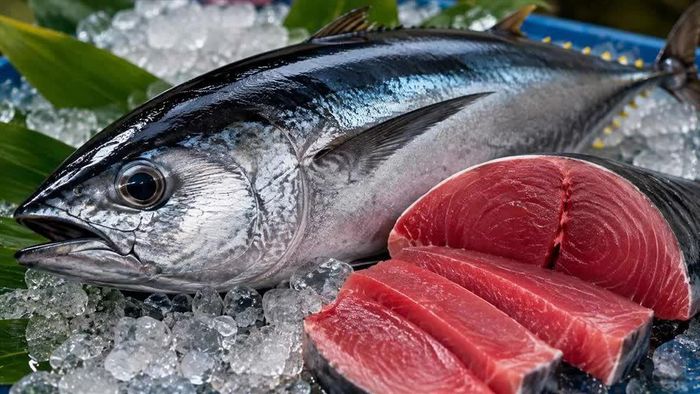 Xuất khẩu cá ngừ Việt Nam đang tăng trưởng. Ảnh: Vasep