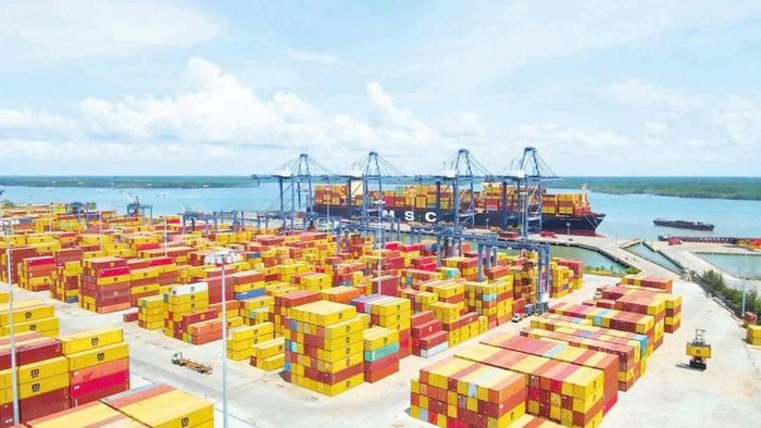 Cảng SSIT xác lập cột mốc khai thác gần 10.000 TEU trên chuyến tàu MSC ARINA.