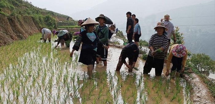 Đời sống và sản xuất của đồng bào vùng cao là trọng tâm trong các chính sách phát triển kinh tế - xã hội của Lào Cai. Ảnh minh họa.
