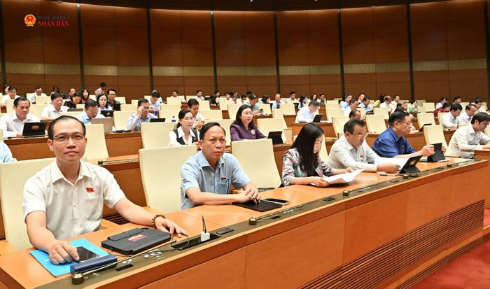 Các đại biểu tham dự phiên họp. Ảnh: Khánh Duy