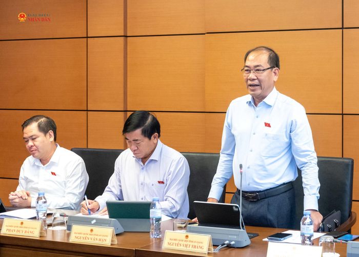ĐBQH Nguyễn Việt Thắng (An Giang) phát biểu